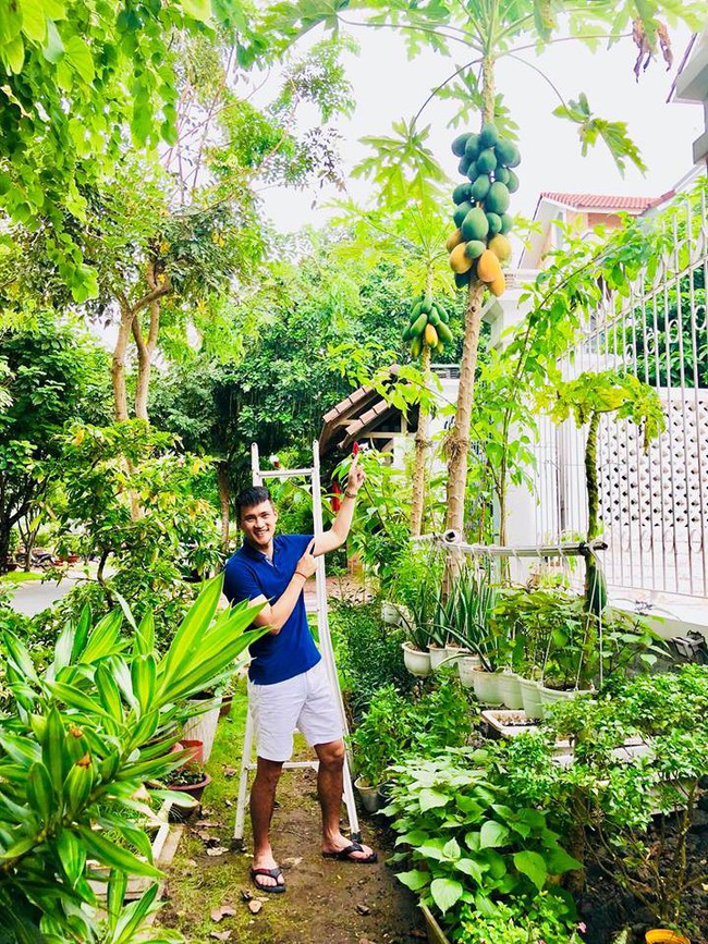 Vợ chồng Công Vinh – Thủy Tiên vui vẻ thu hoạch rau quả sạch trong vườn nhà - Ảnh 3.