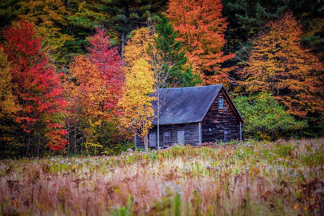 autumn-house-black-brook-photography-1538970443893815907576.jpg