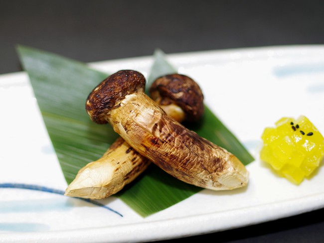 Khám phá matsutake - loại nấm đắt nhất thế giới mang trọn vẹn hương vị mùa thu Nhật Bản, 50 triệu/kg mà vẫn cháy hàng - Ảnh 2.