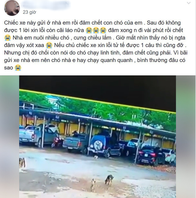 Ch&uacute; ch&oacute; bị c&aacute;n chết ở b&atilde;i đỗ xe, chủ nh&acirc;n đăng đ&agrave;n tố c&aacute;o g&acirc;y tranh c&atilde;i lớn tr&ecirc;n MXH - Ảnh 2.