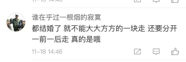 Ph&ugrave;ng Thiệu Phong bị chỉ tr&iacute;ch v&igrave; kh&ocirc;ng nắm tay, cầm t&uacute;i hộ b&agrave; x&atilde; Triệu Lệ Dĩnh đang mang bầu? - Ảnh 7.