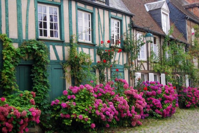 Ngắm những ngôi nhà thơ mộng với giàn hoa đẹp như cổ tích ở làng quê nước Pháp - Ảnh 14.