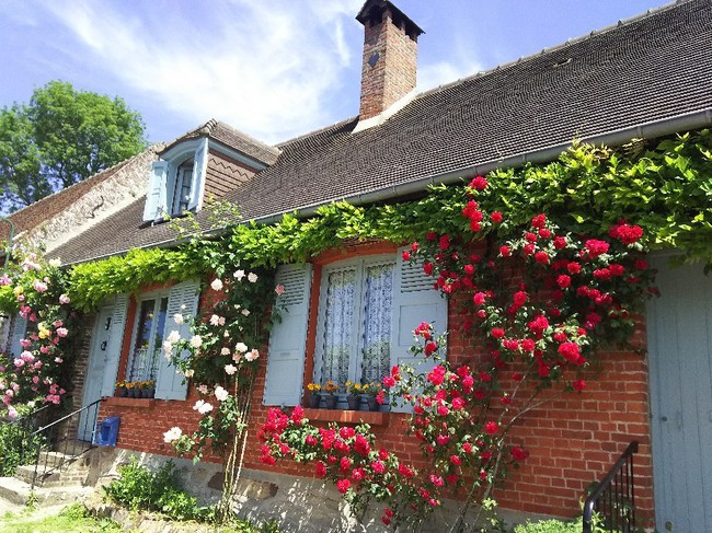 Ngắm những ngôi nhà thơ mộng với giàn hoa đẹp như cổ tích ở làng quê nước Pháp - Ảnh 12.