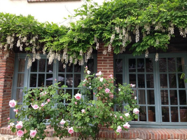 Ngắm những ngôi nhà thơ mộng với giàn hoa đẹp như cổ tích ở làng quê nước Pháp - Ảnh 4.
