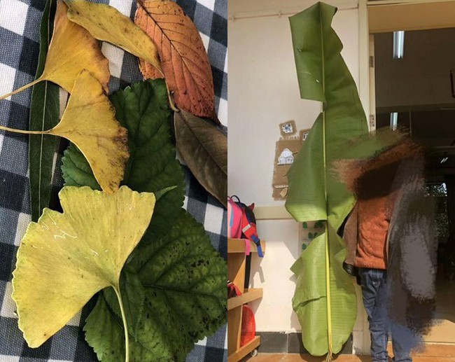 C&ocirc; giao b&agrave;i tập về nh&agrave; l&agrave; thu thập l&aacute; c&acirc;y, cậu b&eacute; mầm non khiến d&acirc;n mạng cười b&ograve; khi xem th&agrave;nh quả - Ảnh 1.