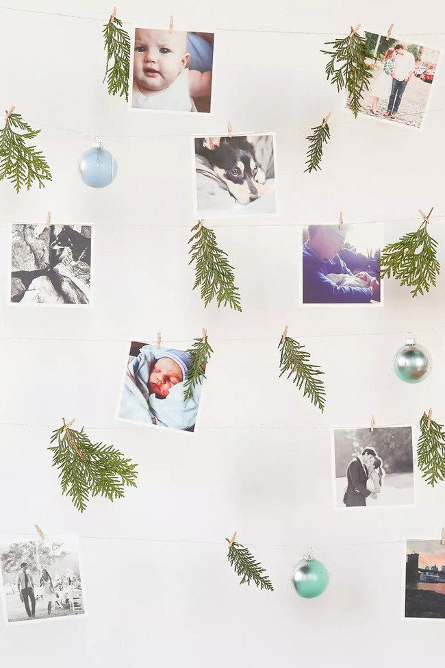 Sử dụng cây xanh trong nhà để trang trí Noel, cách làm mới mẻ nhưng hiệu quả bất ngờ - Ảnh 2.