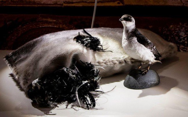 4 m&oacute;n ăn cực quen thuộc của Việt Nam bất ngờ xuất hiện trong bảo t&agrave;ng những m&oacute;n ăn kinh dị tại Thụy Điển - Ảnh 9.