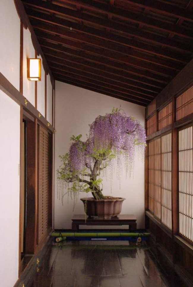 Nếu yêu con người và phong cách Nhật thì đây là các cách giúp bạn có một không gian sống đậm chất Nhật Bản - Ảnh 2.