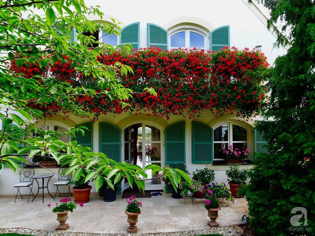 Ngôi nhà với khu vườn 600m² phủ kín các loại hoa đẹp như tranh vẽ của nữ giám đốc Việt ở Hungary - Ảnh 16.