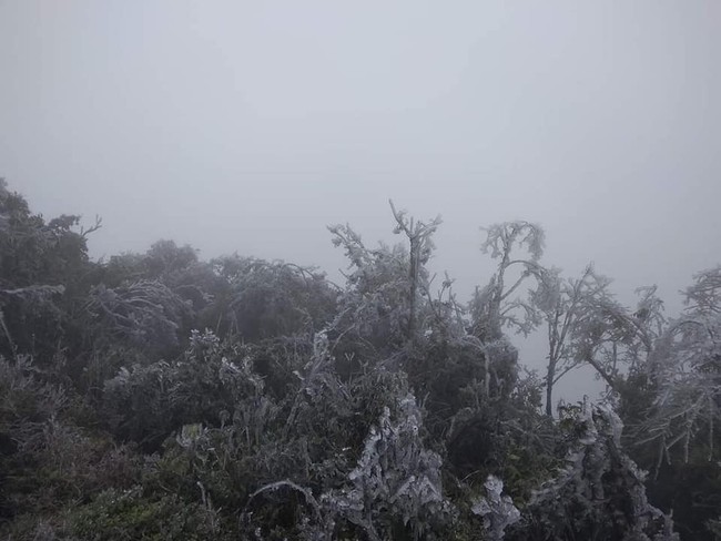 Nhiệt độ xuống dưới 0 độ C, băng tuyết xuất hiện phủ trắng Mẫu Sơn - Ảnh 1.