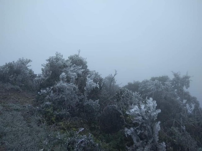 Nhiệt độ xuống dưới 0 độ C, băng tuyết xuất hiện phủ trắng Mẫu Sơn - Ảnh 2.