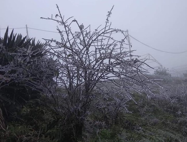 Nhiệt độ xuống dưới 0 độ C, băng tuyết xuất hiện phủ trắng Mẫu Sơn - Ảnh 4.