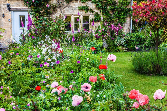 a-pretty-english-cottage-garden-in-the-cotswold-village-of-bibury-dhkj9t-15438871456982099642712.jpg