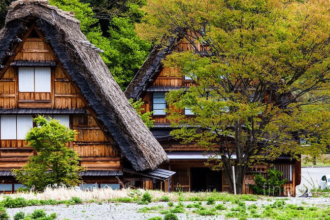 traditional-and-historical-japanese-village-ogimachi-shirakawa-go-japan-mariusz-prusaczyk-1543990184507689863934.jpg