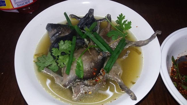 Ếch òn nguyên con - món ăn khiến nhiều người khiếp vía khi vừa nhìn thấy này lại là đặc sản ở Việt Nam và cả Thái Lan - Ảnh 5.