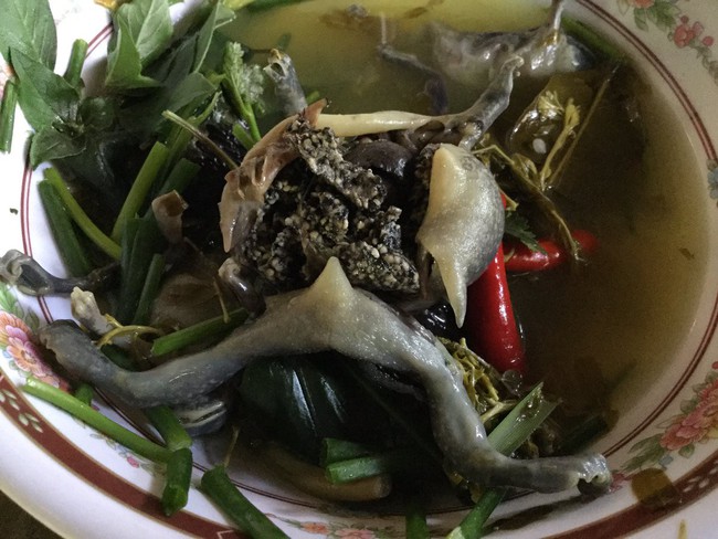 Ếch òn nguyên con - món ăn khiến nhiều người khiếp vía khi vừa nhìn thấy này lại là đặc sản ở Việt Nam và cả Thái Lan - Ảnh 7.