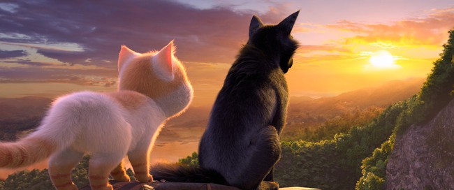 M&egrave;o mập đi phượt - C&acirc;u chuyện về t&igrave;nh cha con cảm động hứa hẹn lấy nước mắt người xem - Ảnh 8.