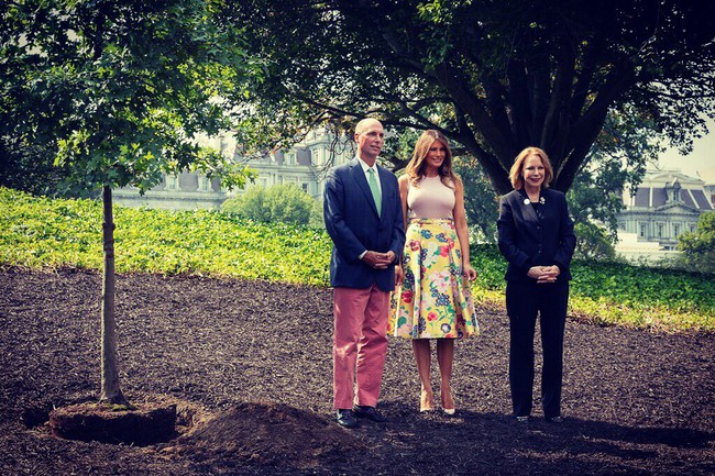 Tr&ocirc;ng rất qu&yacute; ph&aacute;i nhưng b&agrave; Melania Trump diện ch&acirc;n v&aacute;y bồng x&ograve;e rồi đi gi&agrave;y 10 ph&acirc;n để l&agrave;m vườn thế n&agrave;y th&igrave; thật kh&oacute; hiểu  - Ảnh 1.