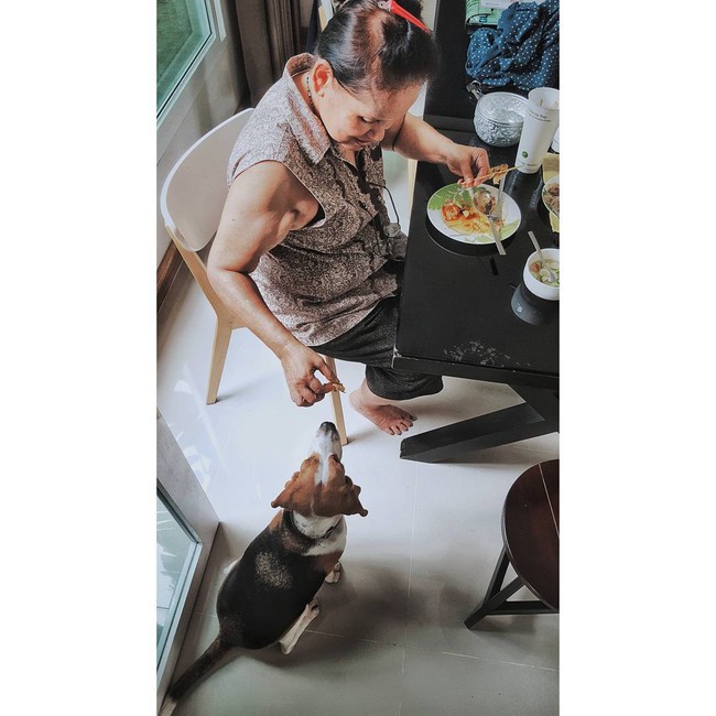 N&agrave;ng d&acirc;u uất ức v&igrave; mẹ chồng trọng ch&oacute; hơn người: bắt kho 3 nồi c&aacute; cho ch&oacute;, ch&aacute;u mới sinh kh&ocirc;ng hỏi chỉ hỏi h&ocirc;m nay ch&oacute; ăn g&igrave; - Ảnh 3.