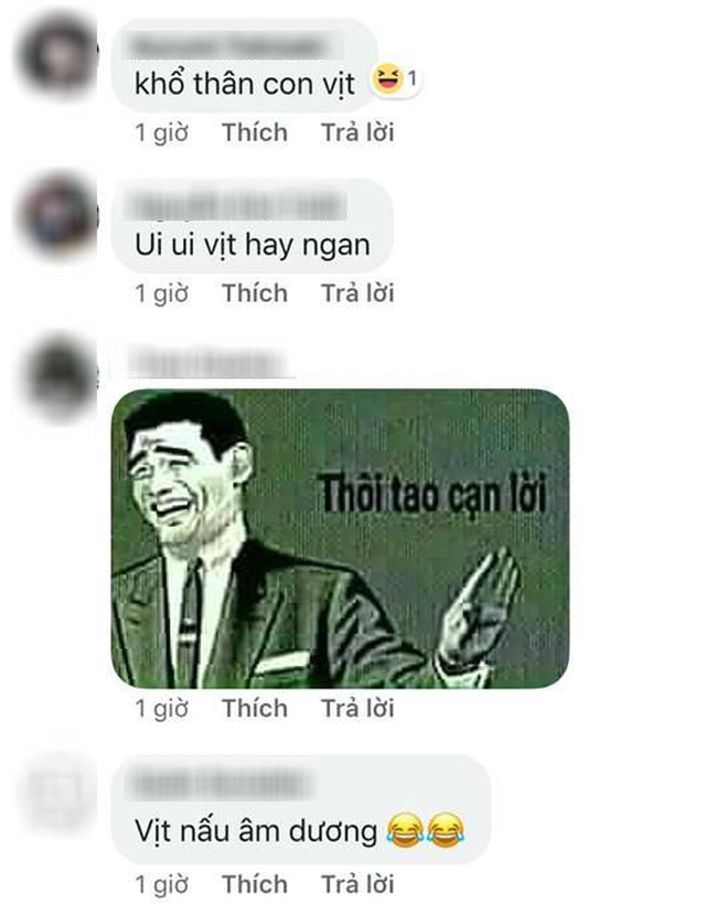 Nh&acirc;n dịp lễ 2/9, c&ocirc; vợ h&agrave;o hứng x&aacute;ch giỏ đi chợ mua ngay về con vịt để luộc cho cả nh&agrave; ăn, n&agrave;o ngờ gặp phải c&aacute;i kết đắng - Ảnh 3.