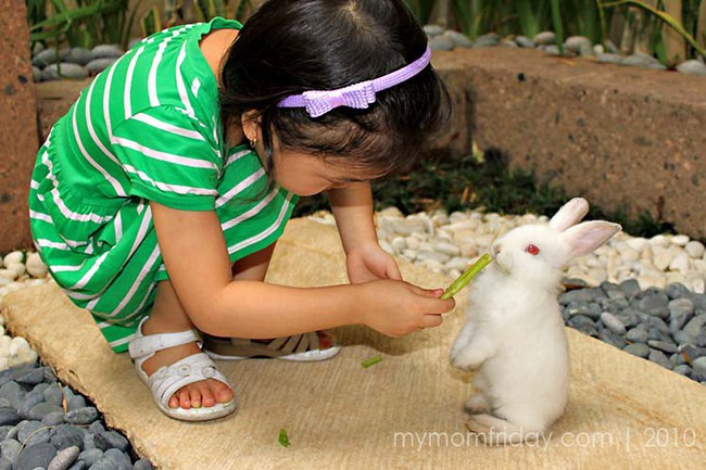 Theo phương pháp Montessori thì đây là 10 việc nên để con tự làm - Ảnh 9.