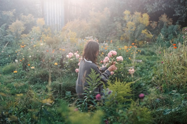 Thăm khu vườn bình yên bên hoa lá rộng 25.000m² và ngôi nhà bình dị của cô gái độc thân ở vùng nông thôn  - Ảnh 1.