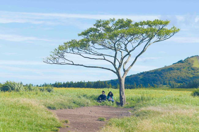 Isaac g&acirc;y ngỡ ng&agrave;ng với loạt h&igrave;nh ảnh đẹp lung linh b&ecirc;n cạnh người y&ecirc;u ở H&agrave;n Quốc - Ảnh 5.