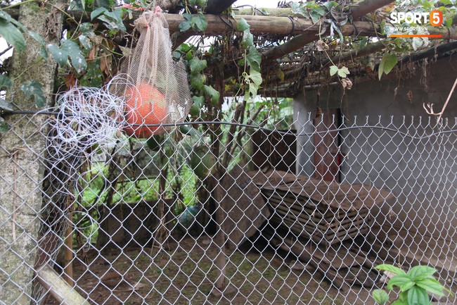 Về thăm nh&agrave; Văn Hậu, ph&aacute;t hiện m&oacute;n qu&agrave; đầu ti&ecirc;n em &uacute;t ĐT Việt Nam mua cho cha mẹ bằng đồng lương kiếm được - Ảnh 10.