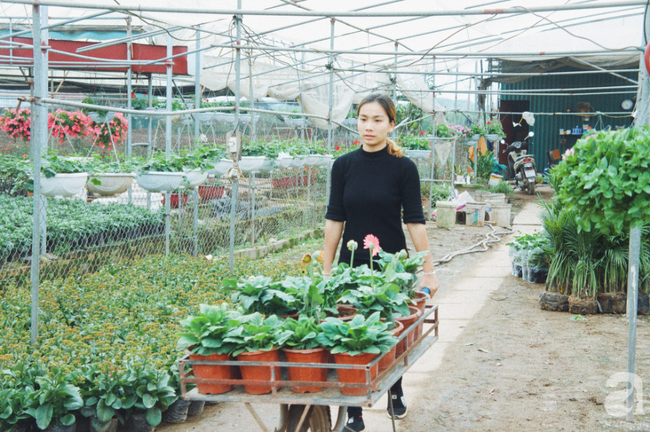 Khung cảnh tấp nập chở Tết về nhà tại chợ cây cảnh Xuân Quan, gây chú ý nhất là loại hoa mới nổi này - Ảnh 22.