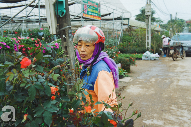 Khung cảnh tấp nập chở Tết về nhà tại chợ cây cảnh Xuân Quan, gây chú ý nhất là loại hoa mới nổi này - Ảnh 5.