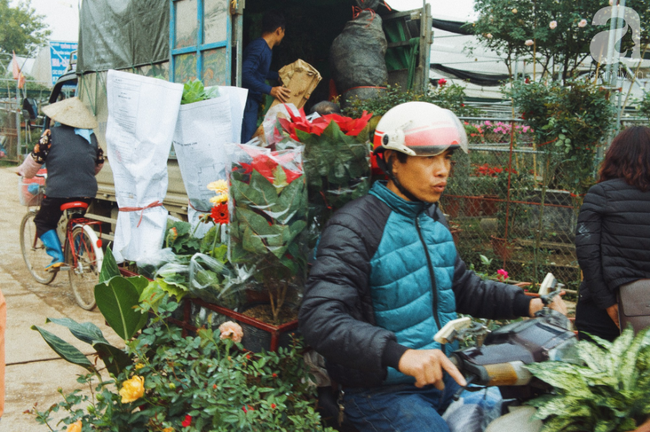 Khung cảnh tấp nập chở Tết về nhà tại chợ cây cảnh Xuân Quan, gây chú ý nhất là loại hoa mới nổi này - Ảnh 13.