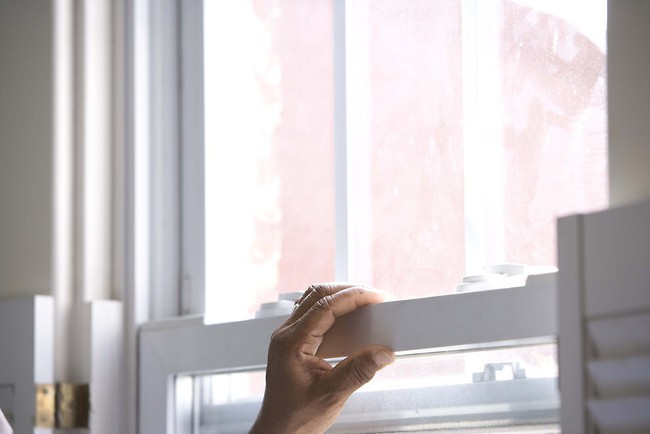 Khuyến cáo cách chống và đuổi kiến ba khoang tại nhà mà không cần dùng tới các hóa chất độc hại - Ảnh 4. Khuyến cáo cách chống và đuổi kiến ba khoang tại nhà mà không cần dùng tới các hóa chất độc hại - Ảnh 4.