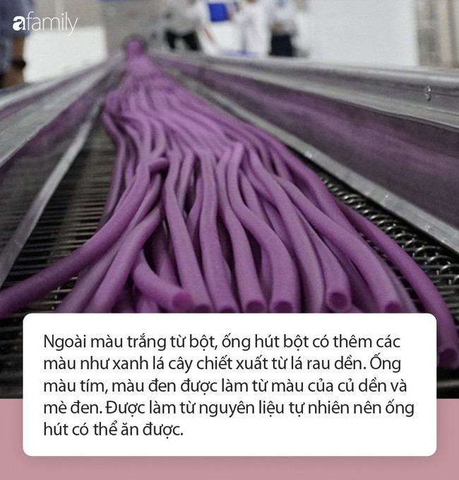 Ống h&uacute;t bột gạo được sản xuất rầm rộ ở miền T&acirc;y &ndash; Kỷ nguy&ecirc;n văn minh của lo&agrave;i người đang đến! - Ảnh 3.