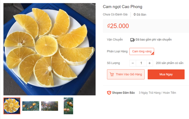 Hết mê hồn trận cam sành, người tiêu dùng lại được phen lao đao vì cam Cao Phong cũng tiếp tục loạn giá - Ảnh 5. Hết mê hồn trận cam sành, người tiêu dùng lại được phen lao đao vì cam Cao Phong cũng tiếp tục loạn giá - Ảnh 5.