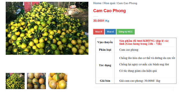 Hết mê hồn trận cam sành, người tiêu dùng lại được phen lao đao vì cam Cao Phong cũng tiếp tục loạn giá - Ảnh 2. Hết mê hồn trận cam sành, người tiêu dùng lại được phen lao đao vì cam Cao Phong cũng tiếp tục loạn giá - Ảnh 2.