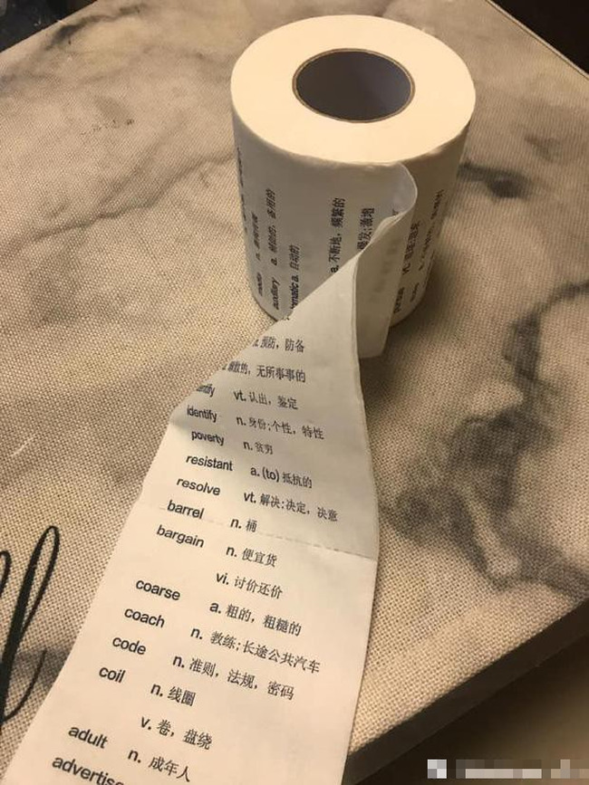 Ở Việt Nam bị thơ ơ nhưng giấy vệ sinh tại nước ngoài lại có giá đắt cắt cổ với muôn hình vạn trạng thu hút khách hàng - Ảnh 7.