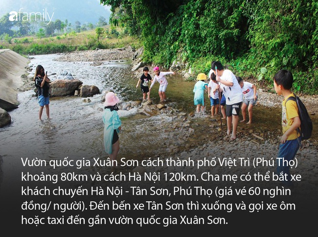 Thêm một đia điểm lý tưởng để cha mẹ đưa con đi chơi cuối tuần, chỉ cách Hà Nội 120km - Ảnh 2.