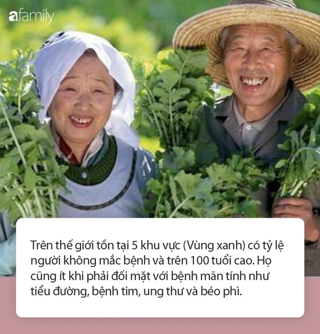 Ăn uống kiểu này chắc chắn bạn sẽ luôn tràn đầy năng lượng và sống thọ hơn - Ảnh 1.