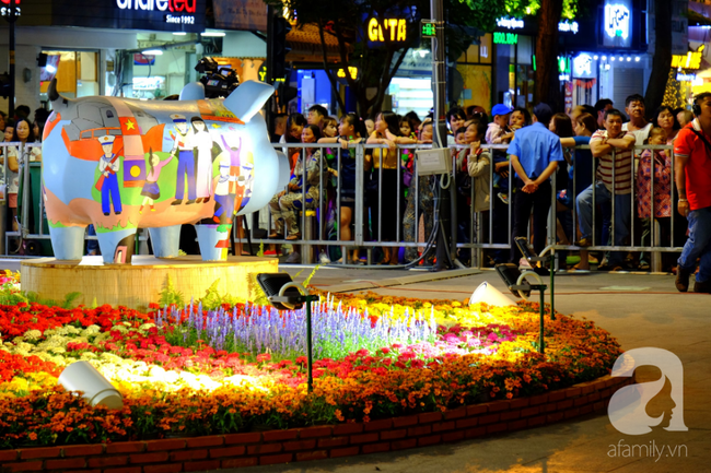 Đường hoa Nguyễn Huệ khai mạc trễ, nhiều người S&agrave;i G&ograve;n &ocirc;m h&agrave;ng r&agrave;o chờ đợi ngao ng&aacute;n, bỏ về - Ảnh 10.