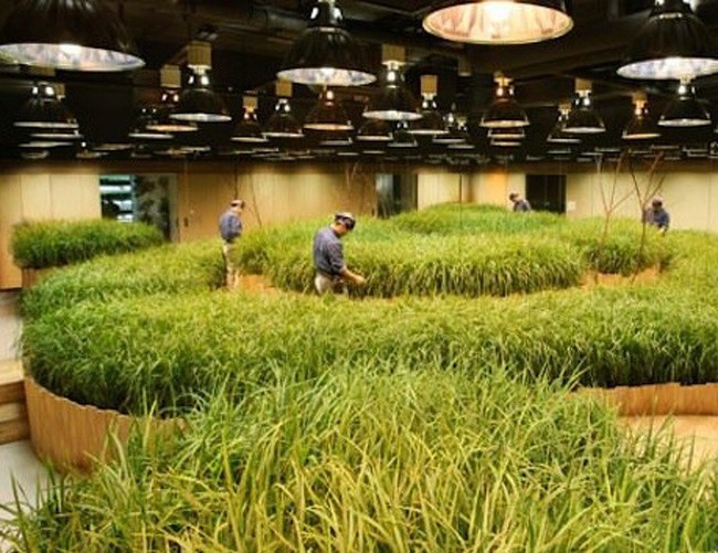 15 ph&aacute;t minh đỉnh cao ở Nhật Bản khiến bạn nhận ra ch&uacute;ng ta v&agrave; họ dường như c&aacute;ch nhau cả thế kỷ - Ảnh 18.