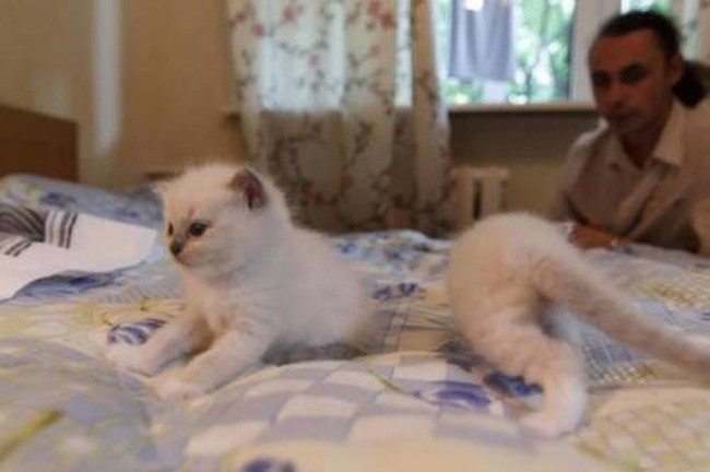 19 bức ảnh khiến bạn kh&ocirc;ng tin v&agrave;o mắt m&igrave;nh v&igrave; sự v&ocirc; l&yacute;, phải rụi mắt nh&igrave;n lại chục lần mới nhận ra - Ảnh 16.