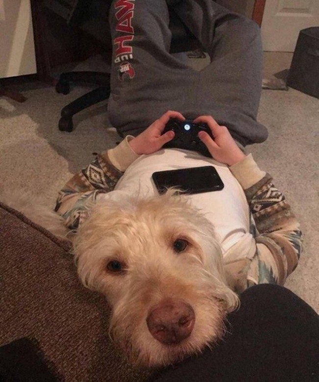 19 bức ảnh khiến bạn kh&ocirc;ng tin v&agrave;o mắt m&igrave;nh v&igrave; sự v&ocirc; l&yacute;, phải rụi mắt nh&igrave;n lại chục lần mới nhận ra - Ảnh 4.