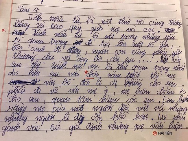 Con trai Thảo V&acirc;n n&oacute;i về cuộc ly h&ocirc;n của bố mẹ: Mẹ của mọi người đều vất vả nhưng những người li dị c&ograve;n khổ hơn - Ảnh 2.