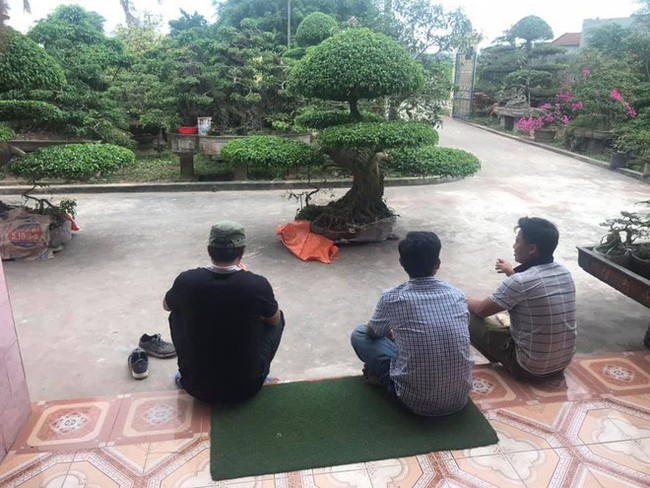 Con trai h&agrave;i hước kể chuyện bố hứa thay mẹ chăm 130 con lợn trong 2 th&aacute;ng để được mua đ&ocirc;i c&acirc;y cảnh 40 triệu - Ảnh 3.