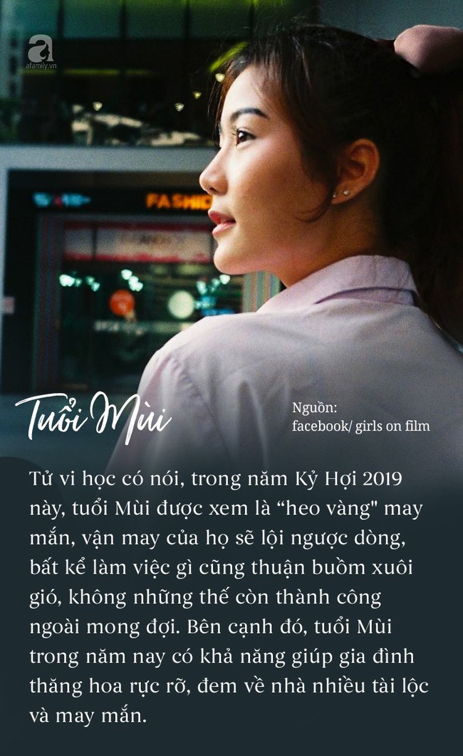 3 con gi&aacute;p n&agrave;y l&agrave; heo v&agrave;ng đem nhiều may mắn về nh&agrave;, từ th&aacute;ng 4 &acirc;m lịch trở đi vạn sự như &yacute;, nh&acirc;n duy&ecirc;n t&agrave;i vận thập to&agrave;n thập mỹ - Ảnh 1.