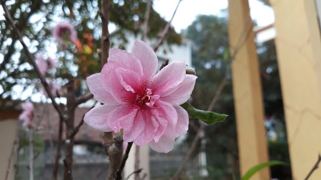 Kh&ocirc;ng kh&iacute; lạnh đột ngột k&eacute;o về, cư d&acirc;n mạng miền Bắc h&agrave;i hước hồi tưởng cảnh đ&ecirc;m 30 Tết quay ngược trở lại - Ảnh 1.