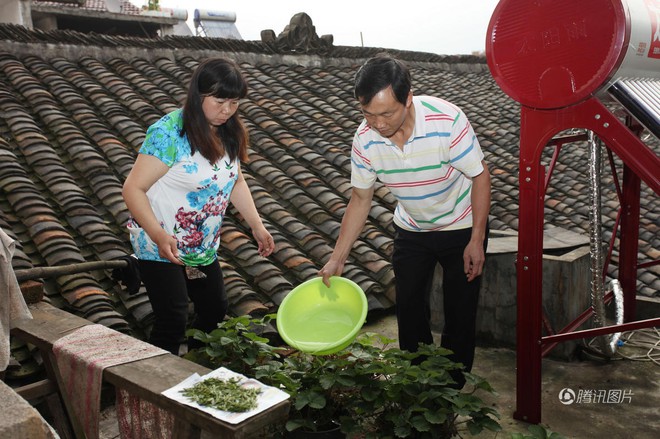 Câu chuyện hy hữu nhưng đậm nghĩa vợ chồng: Vợ lấy chồng mới rồi cùng nhau chăm sóc chồng cũ bị liệt - Ảnh 6.