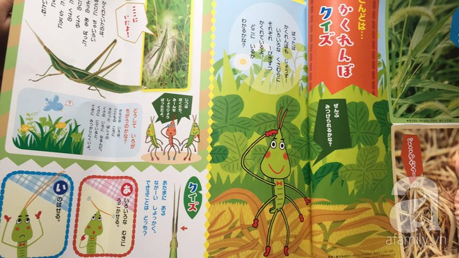 Thích thú với cách người Nhật dùng côn trùng làm giáo cụ dạy trẻ - Ảnh 5.