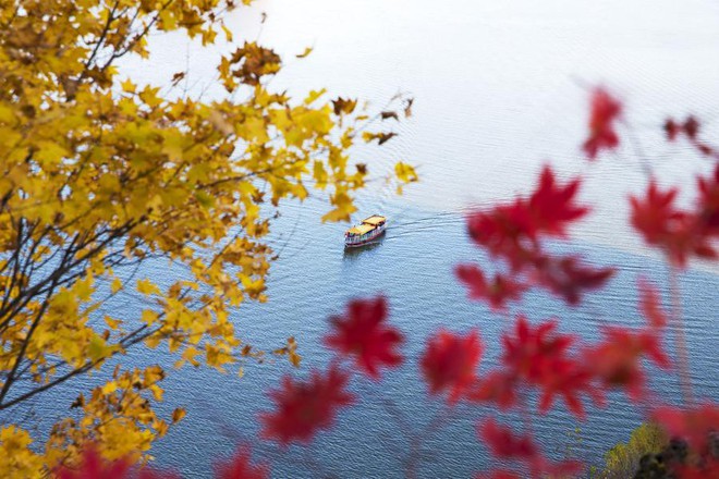 5 điểm đến mùa thu sẽ khiến bạn ngất ngây vì phong cảnh đẹp như trong mơ - Ảnh 6.