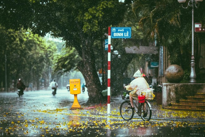 Những bức ảnh tuyệt đẹp này sẽ khiến bạn nhận ra, trong mưa, cuộc đời vẫn dịu dàng đến thế - Ảnh 2.